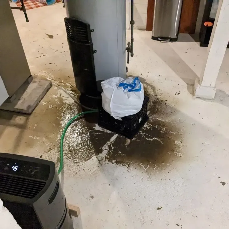 Sewage Backup Cleanup Service in Espino, PR